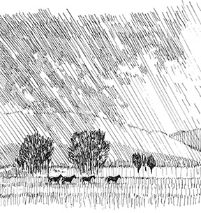Walking Rain Illustration